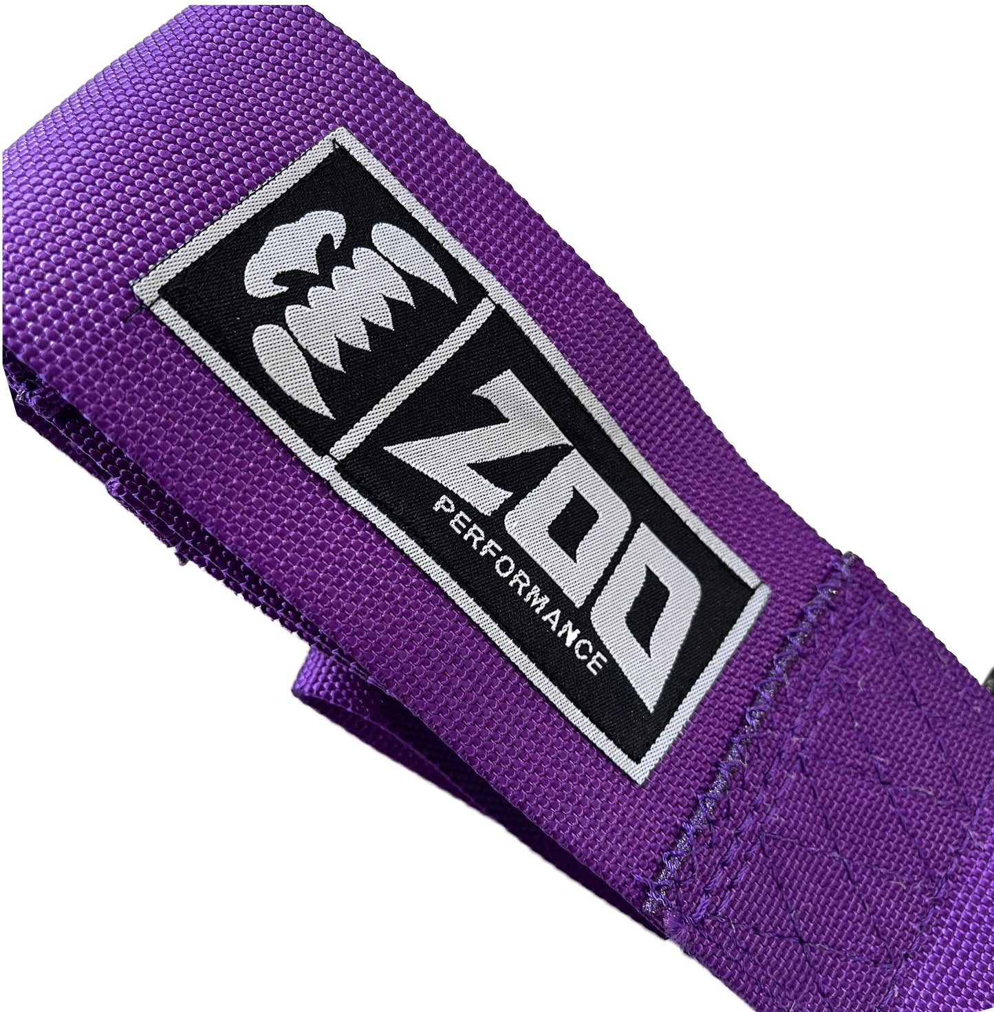 2" FIA ZOO PERFORMANCE HARNESS